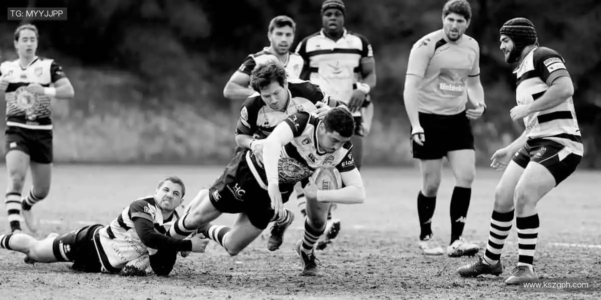 🏃‍♀️全民运动，健康生活！📅赛事日历，开启你的运动新纪元！